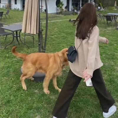 狐步舞